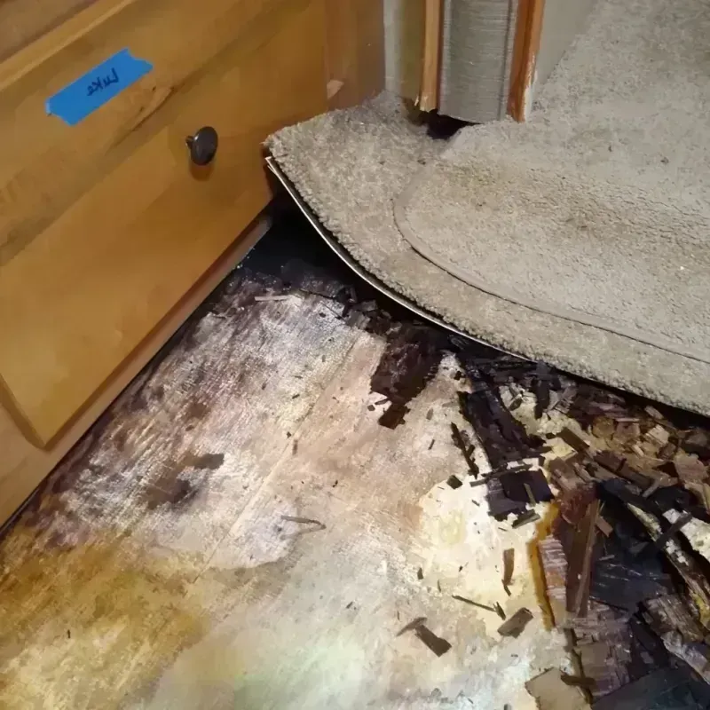 Wood Floor Water Damage in Powell, OH